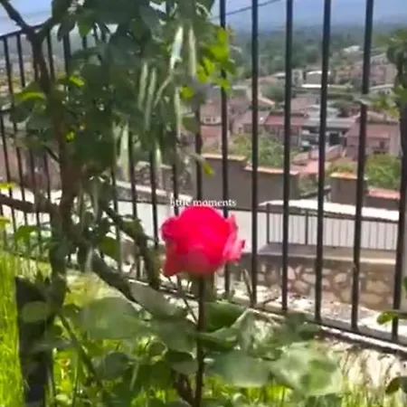 La Dolce Casa Centre Free Parking Family Dom wakacyjny *