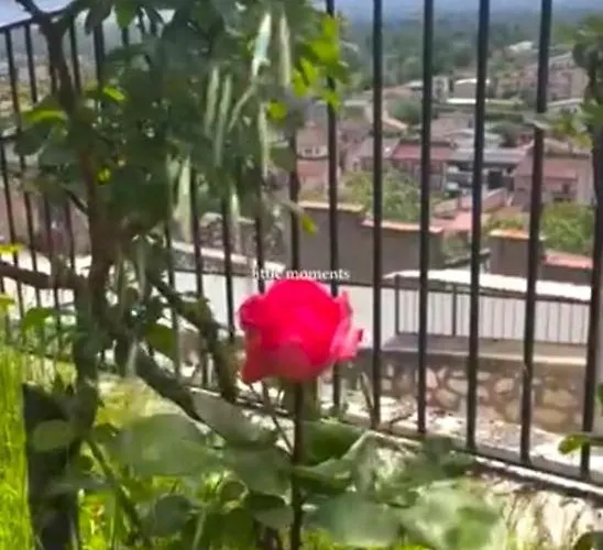 La Dolce Casa Centre Free Parking Family Σπίτι διακοπών *